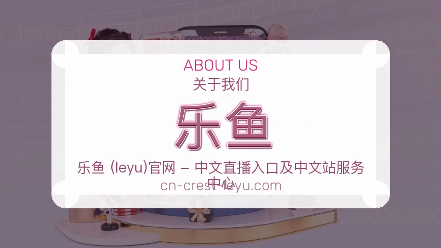 乐鱼关于平台与用户服务展示